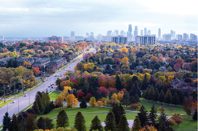 Autumn trees with a road leading to a city.