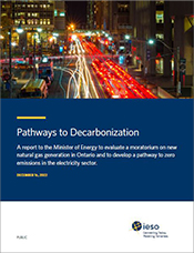 Report cover for the Pathways to Decarbonization